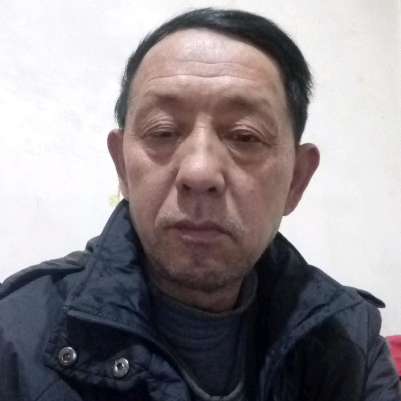 木匠养蜂记
