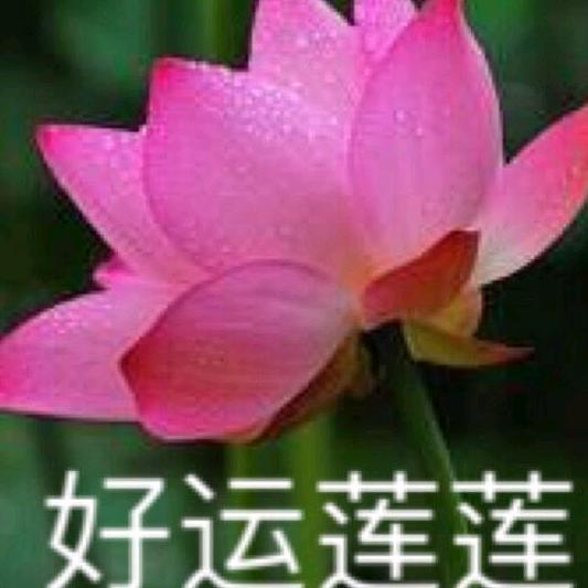 追求自我。翠姐