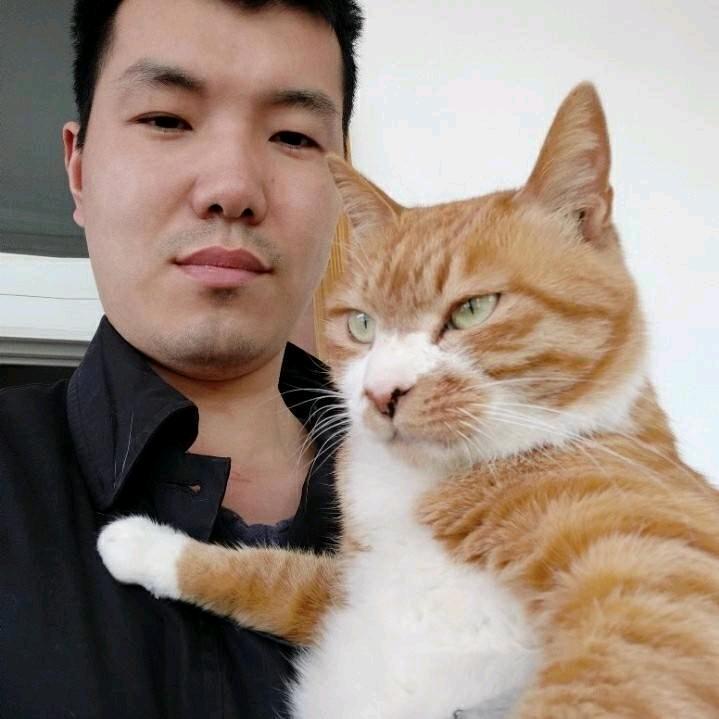 两米猫哥寻宠侦探和300只流浪猫