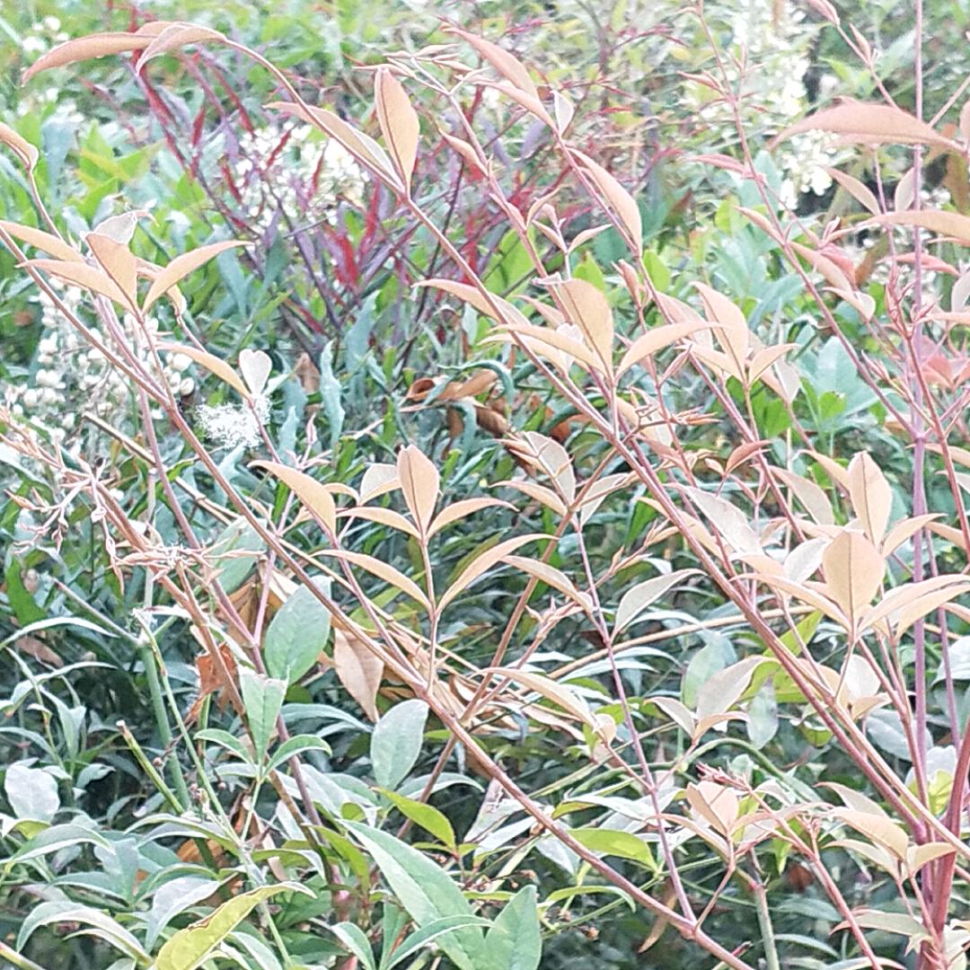 专业防水霞