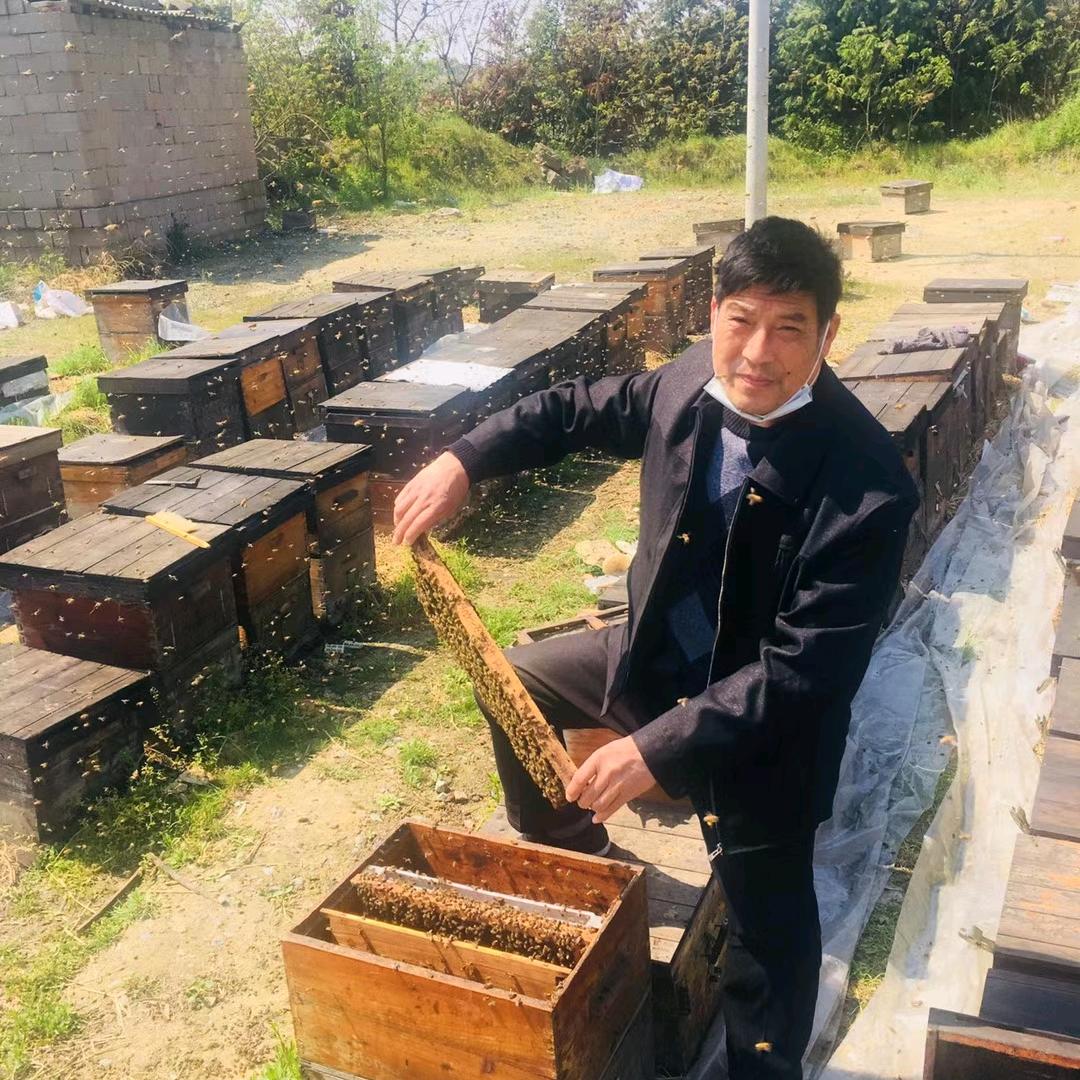 武汉市黄陂区姚家集韩用启蜂场