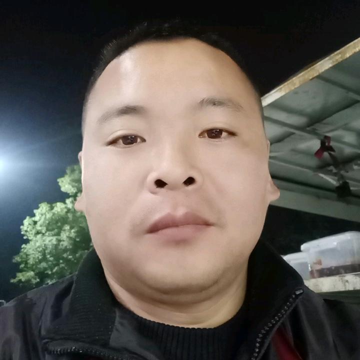 董哥