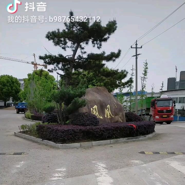 神雕侠侣