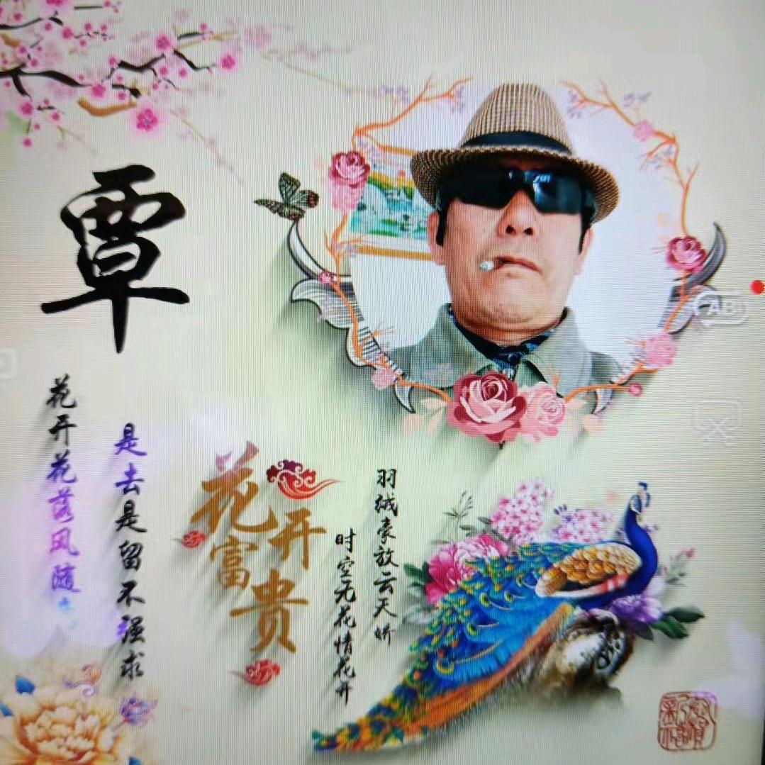 看似无情却有情