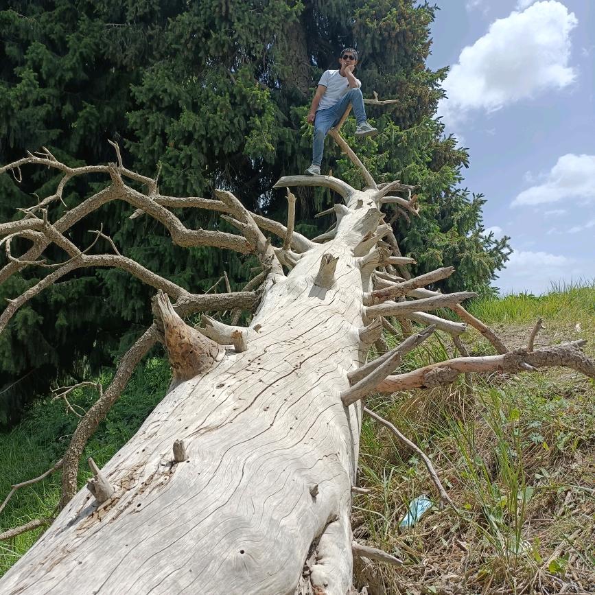 回忆过去念想曾经