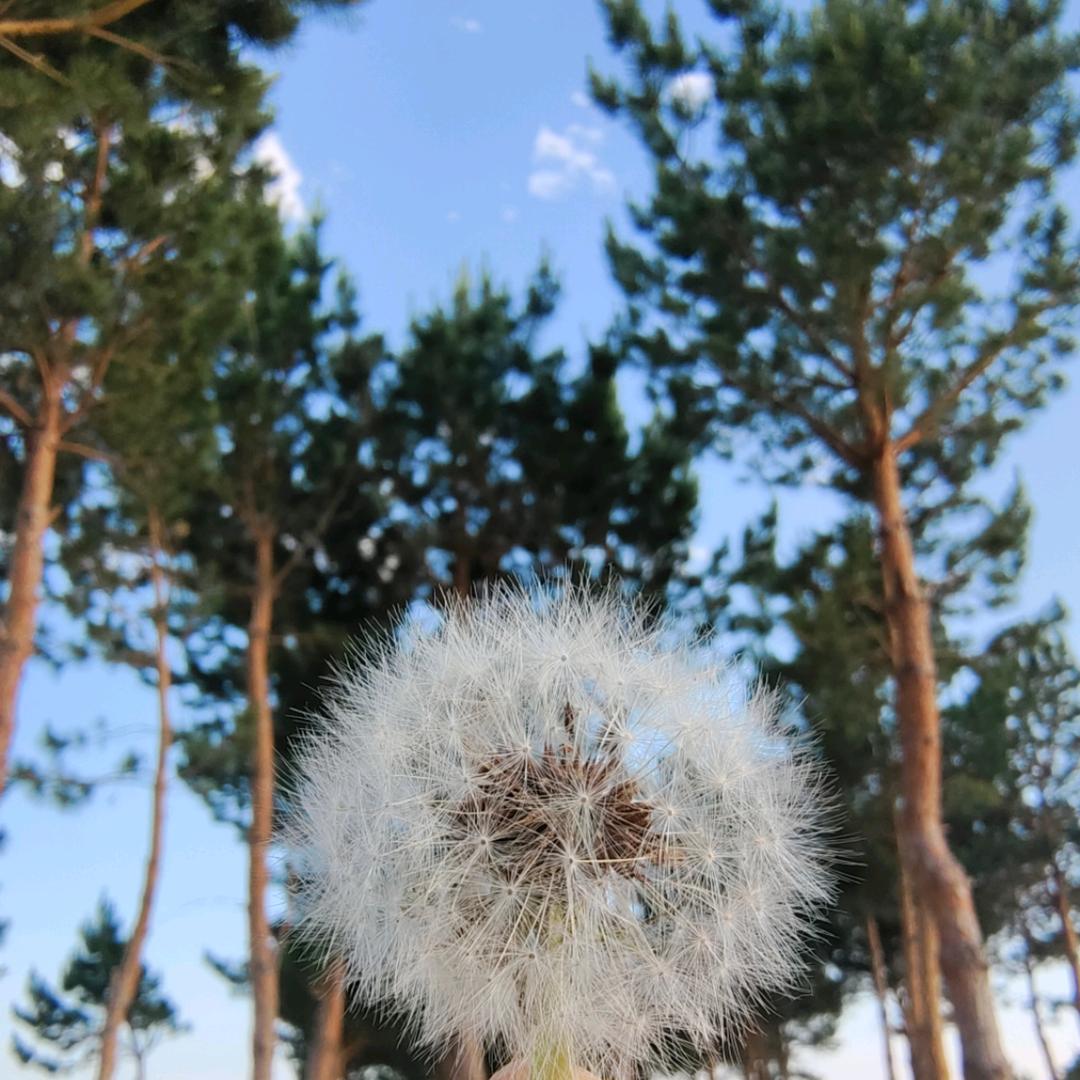 人间烟火羽你同在