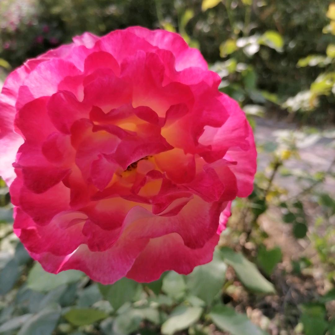 娟姐😀😀拒绝私聊