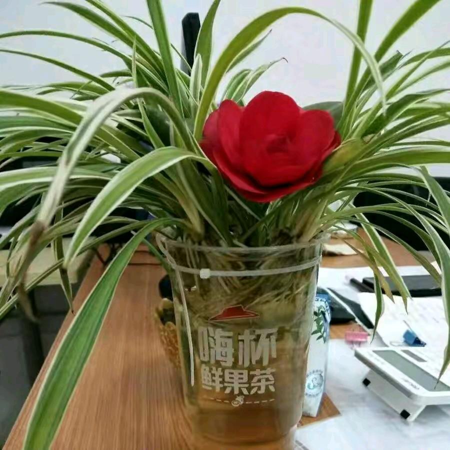 我的朋友