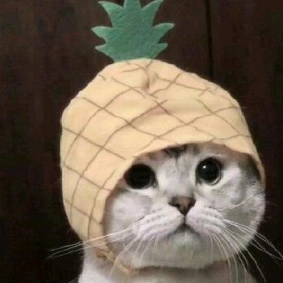 是大白啊