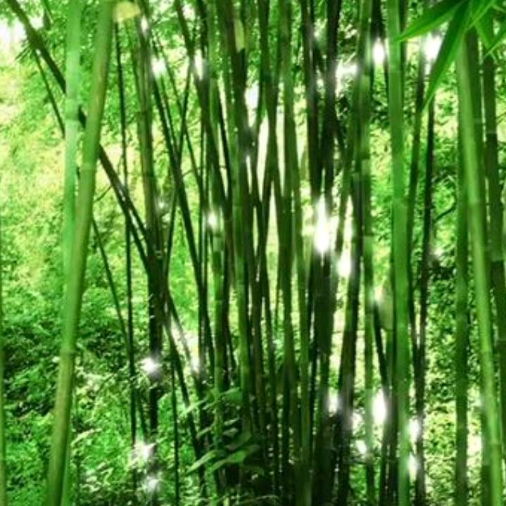 王娟巜低调一点》