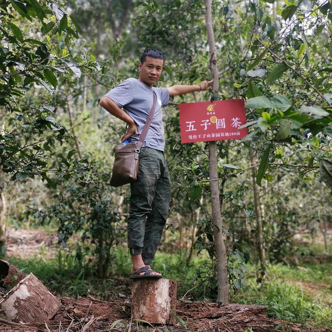 勐海五子圆茶茶业