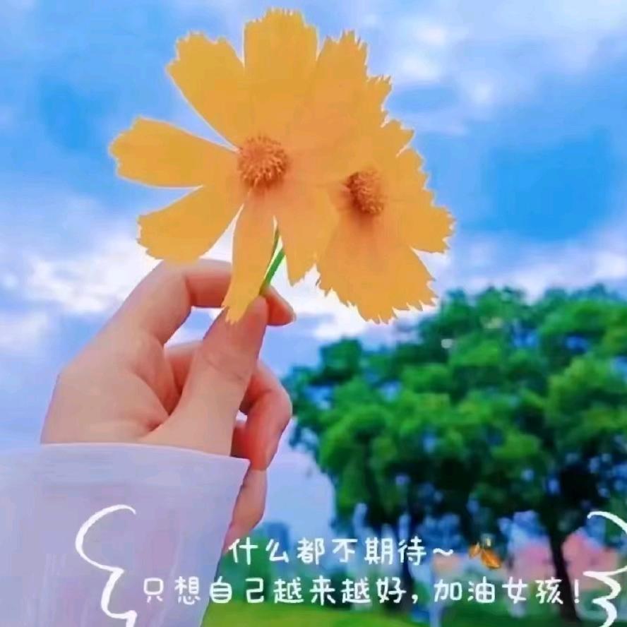 ᝰ᭄从心🍀开始࿐²⁰²⁴