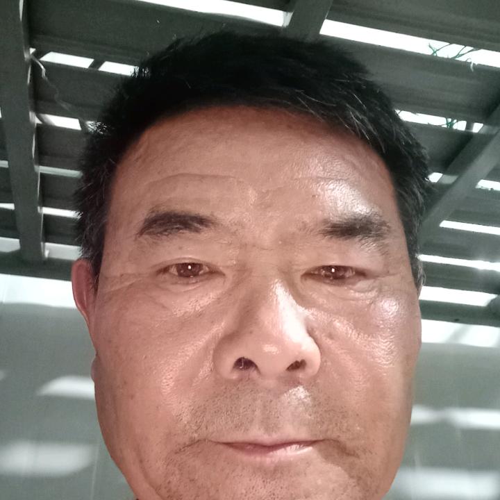 文中