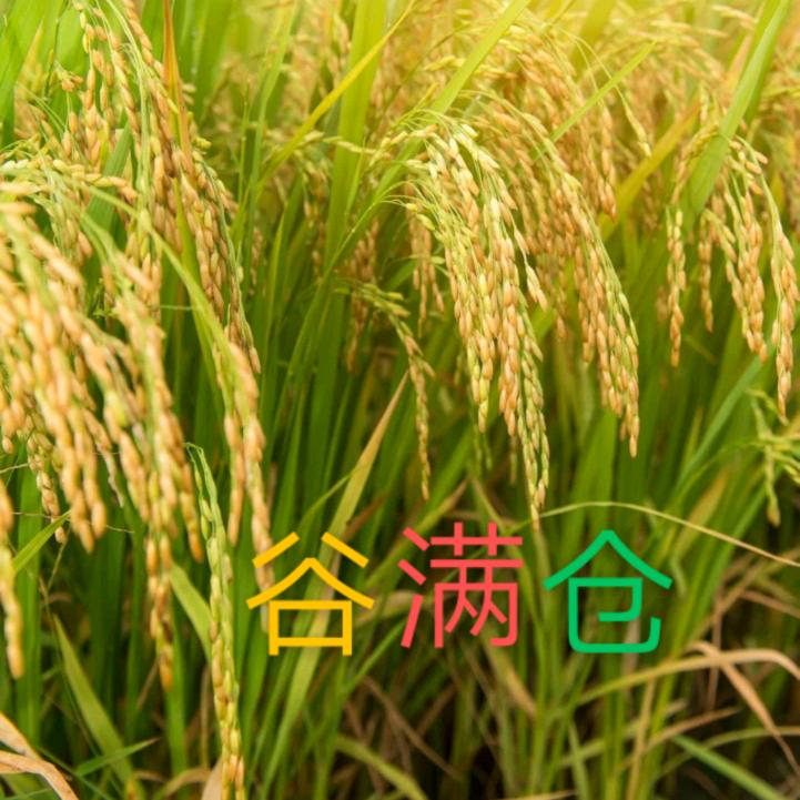 谷满仓