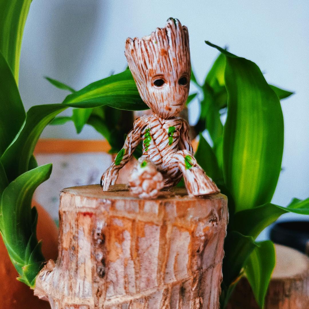 木之🌱物语