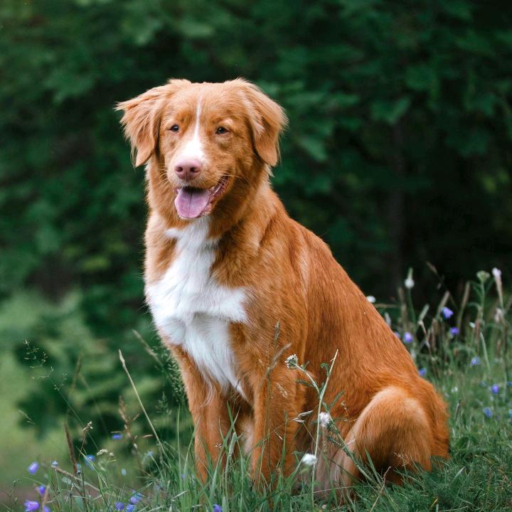 忘记过去的一切