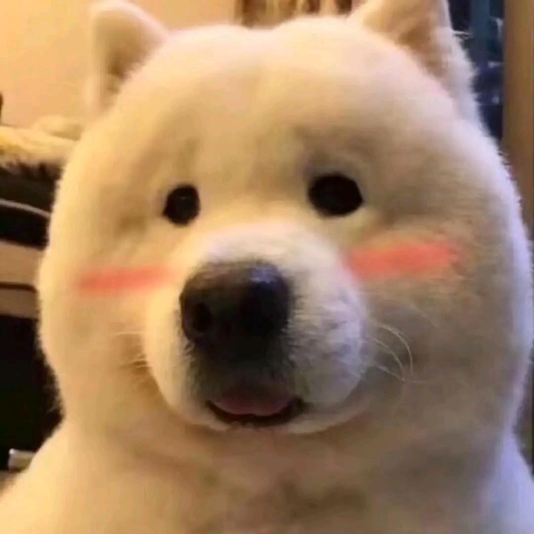 Bestow头像