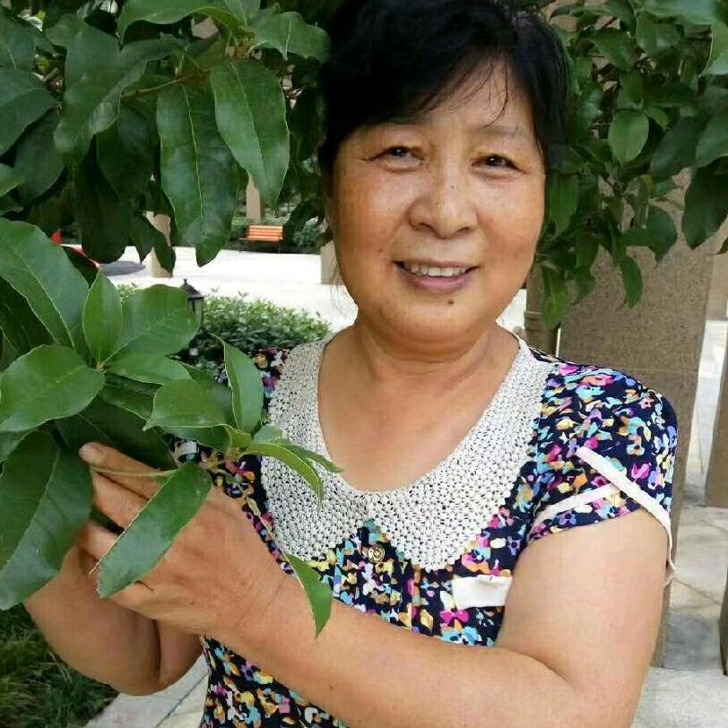 铿锵玫瑰$～$
