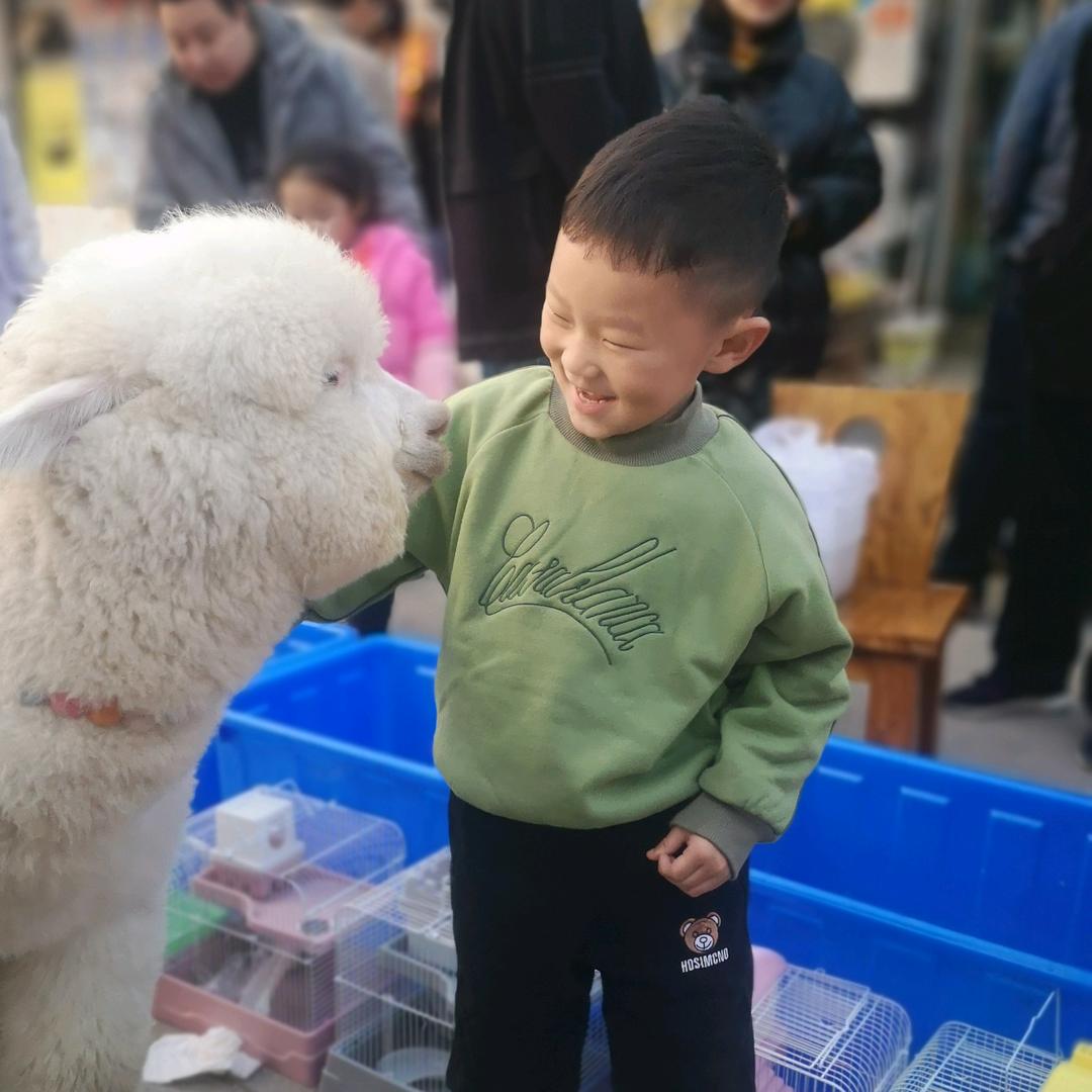一个人在外漂泊