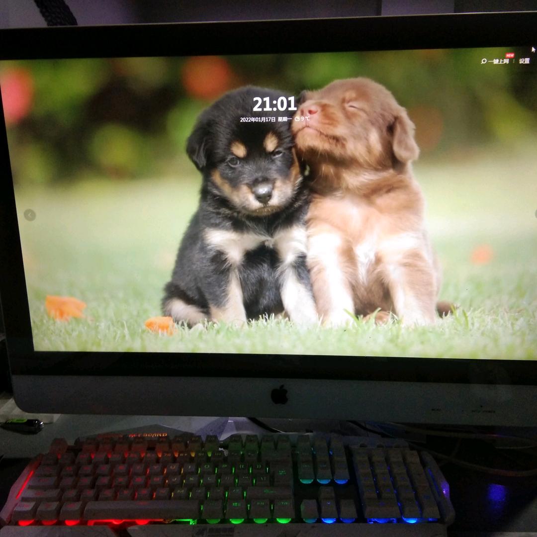 耳朵陈，在成都(巫山店)