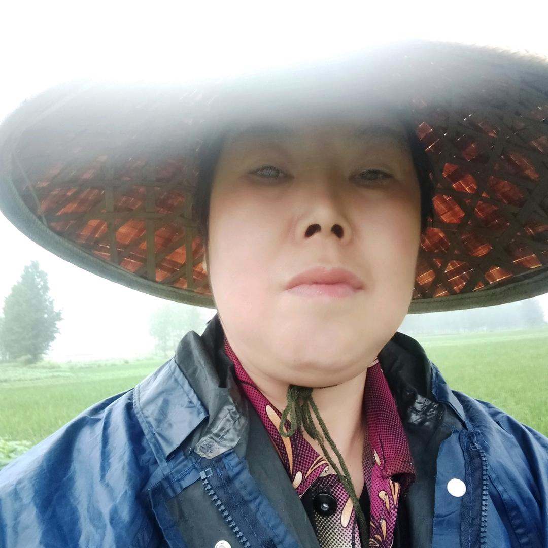 李秋菊