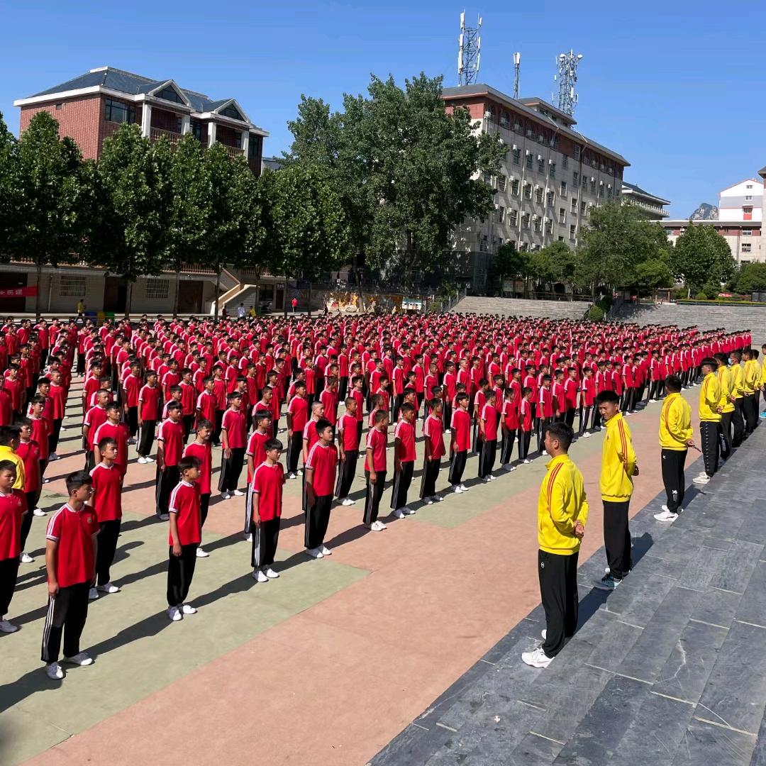 少林小龙武术学校（新生咨询）