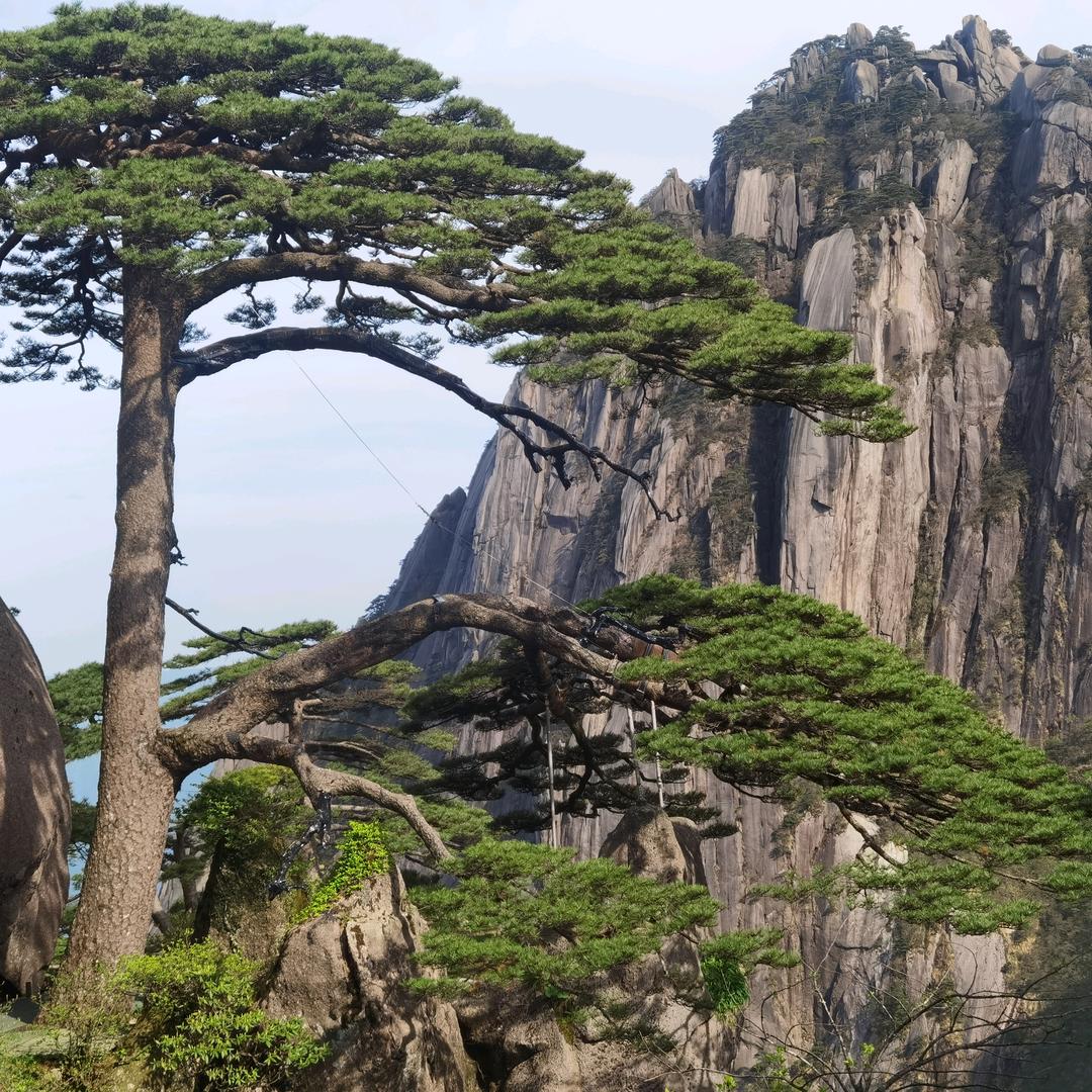 峰回路转