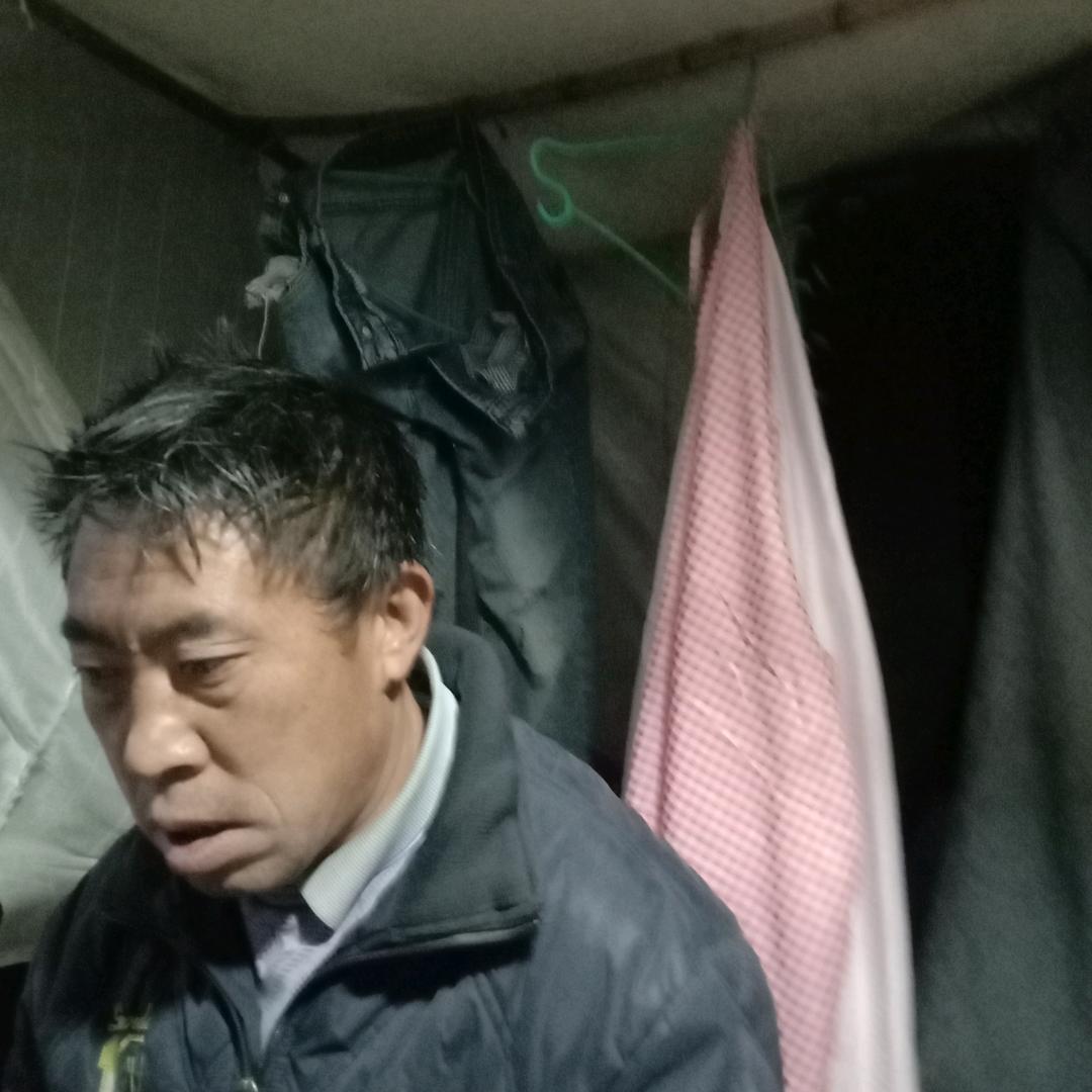 老辉