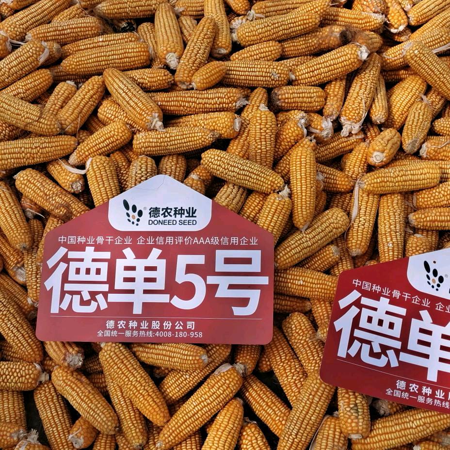 劳模农资