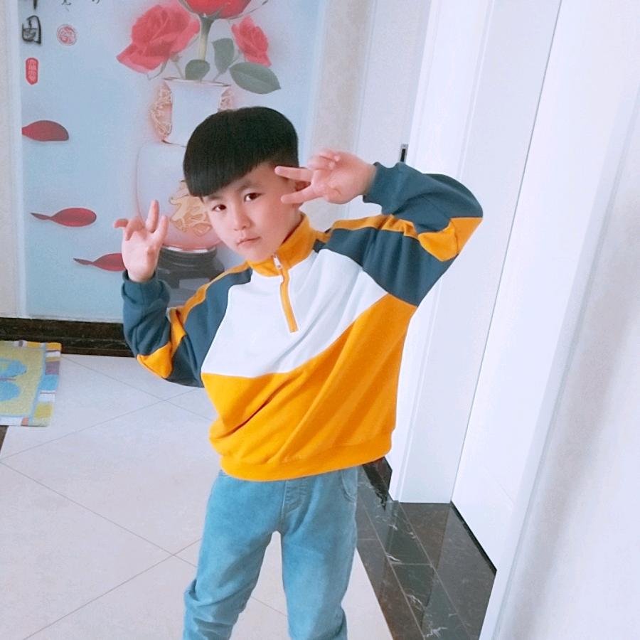 D.C仙人掌