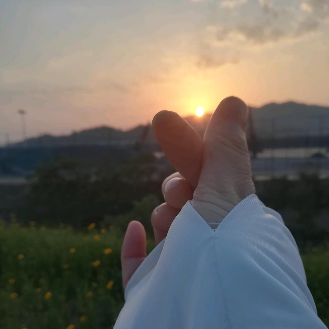 🌸叶