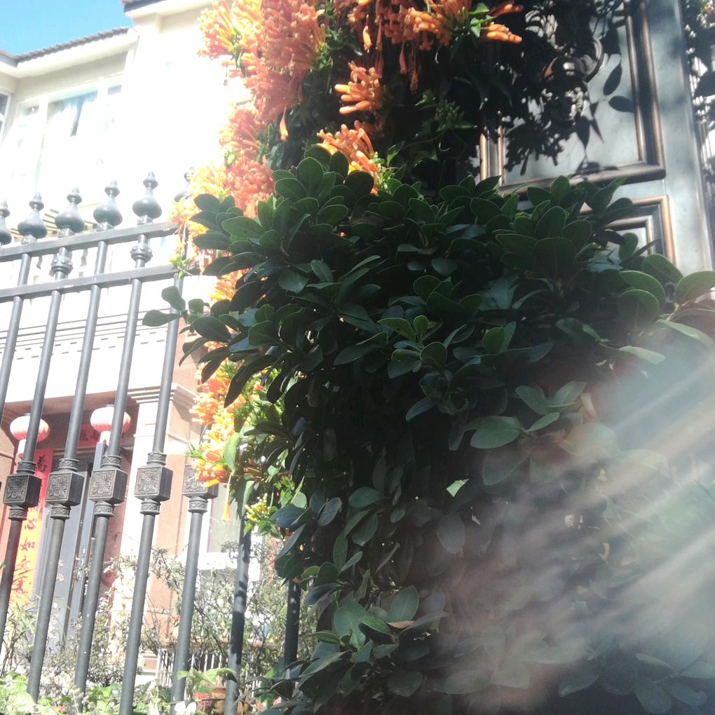 开心就好(✪▽✪)