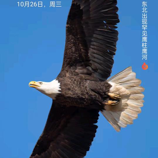 风吹麦浪！