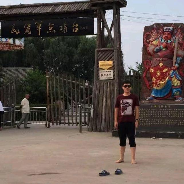 孤雁齐飞