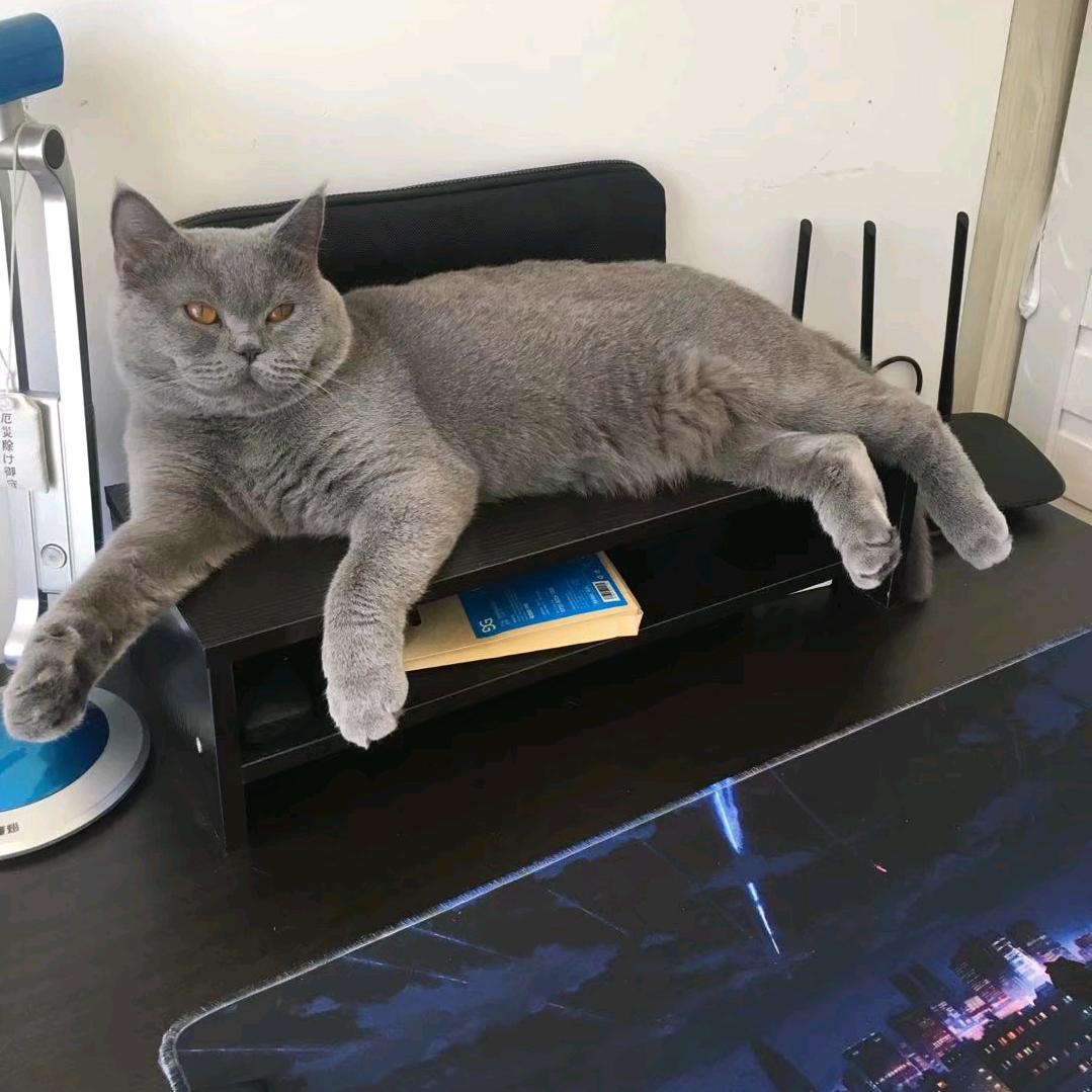 开心快乐🌹🌹