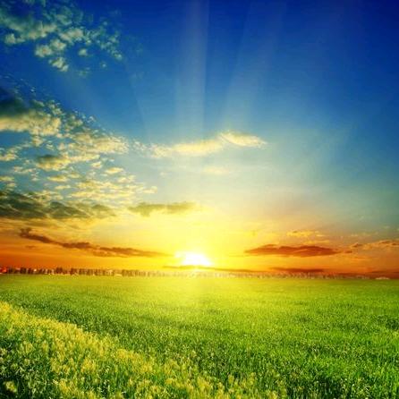 💞🍀人生如梦🍀💞