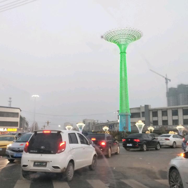 寒梅傲雪