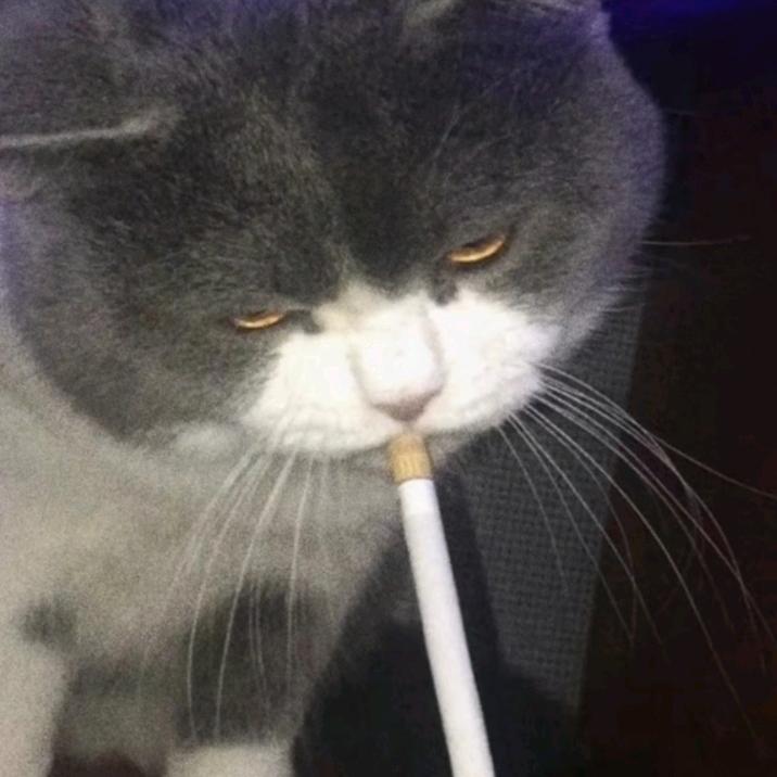 喲，來了
