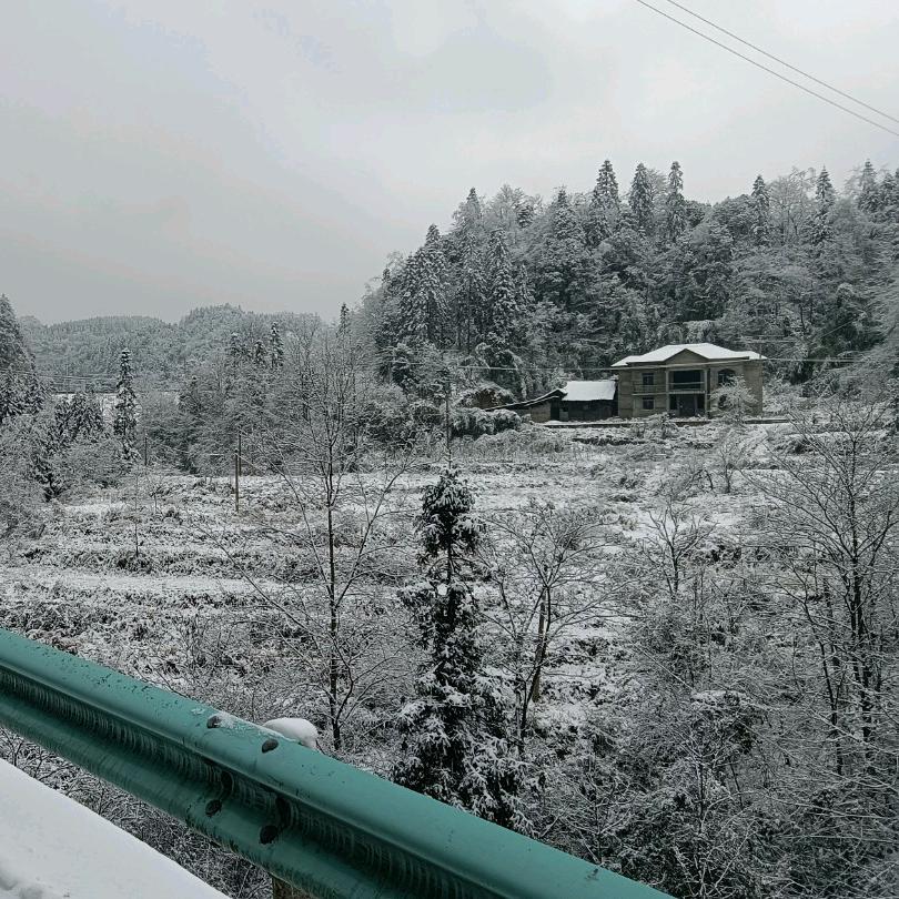 绥阳啊鹏