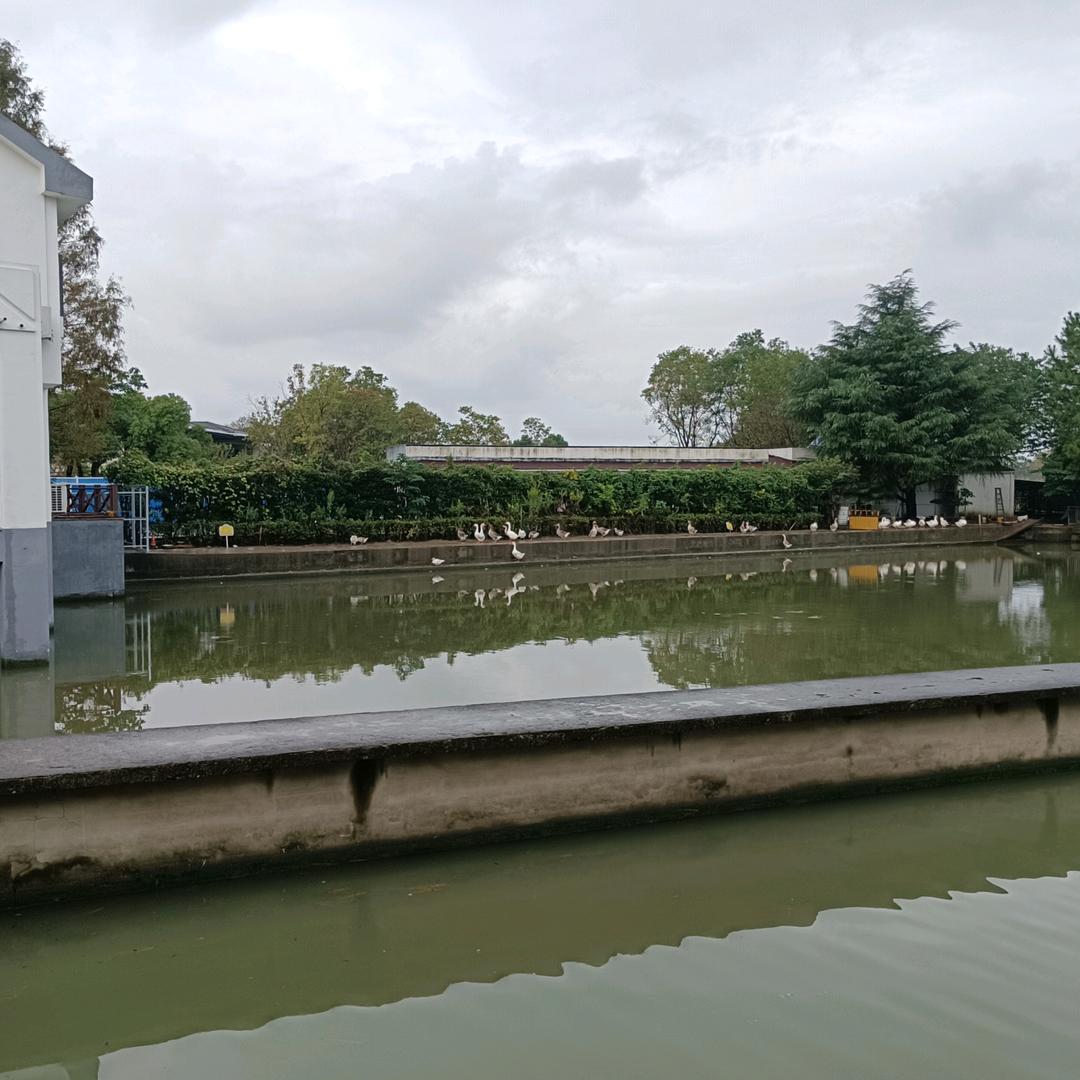 八一兵哥哥