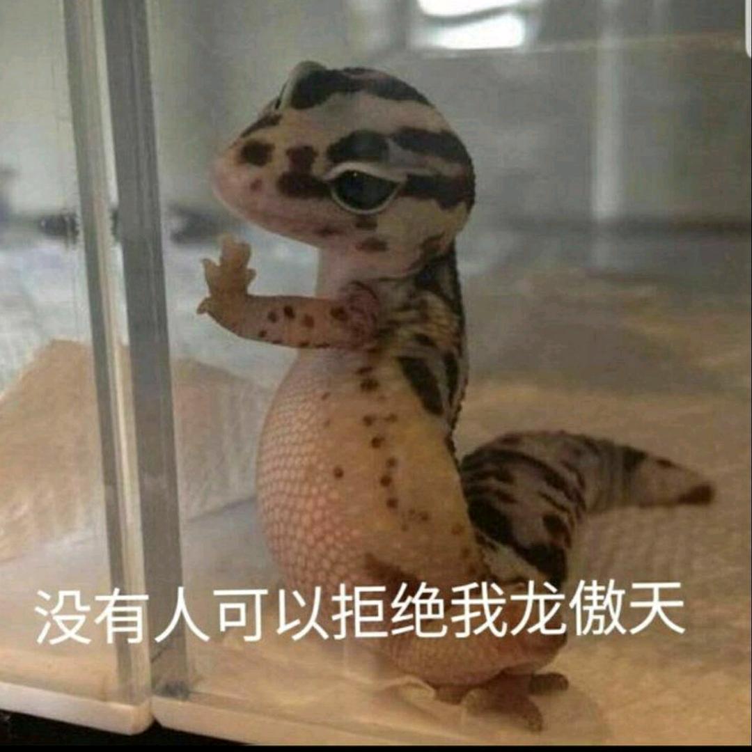 No  help