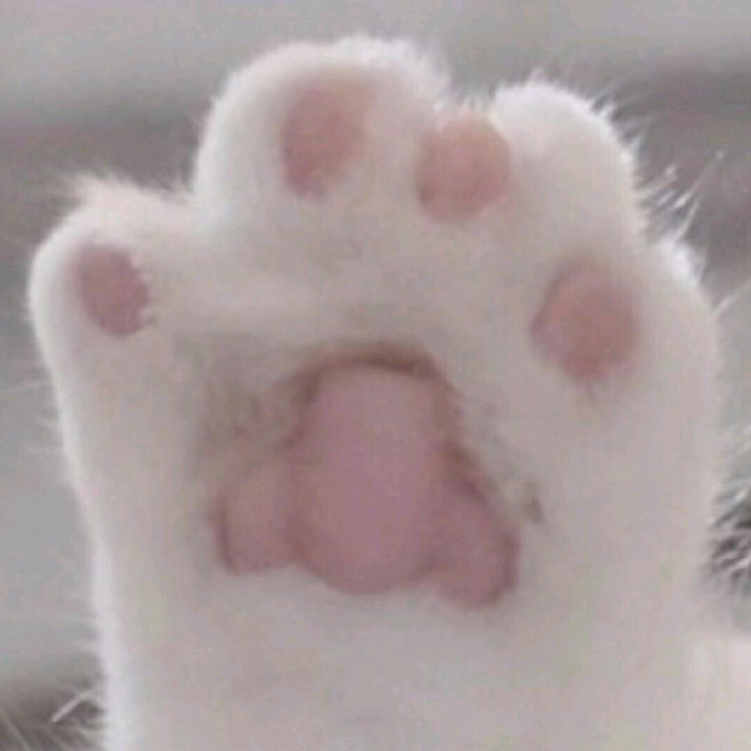 摘星