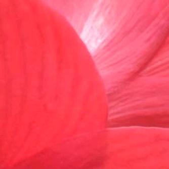 .；*☆:！?”^..>、。～‘*☆%‘