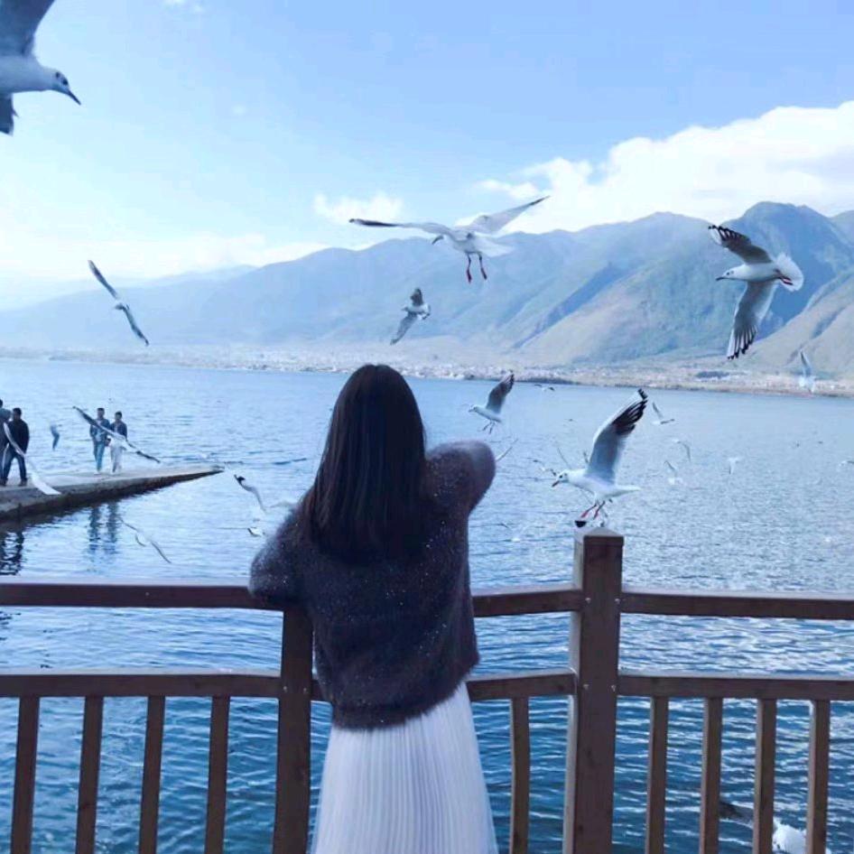 陈萌VIKI.