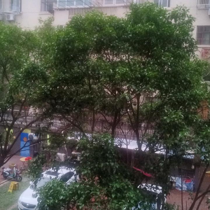 :风雨同舟