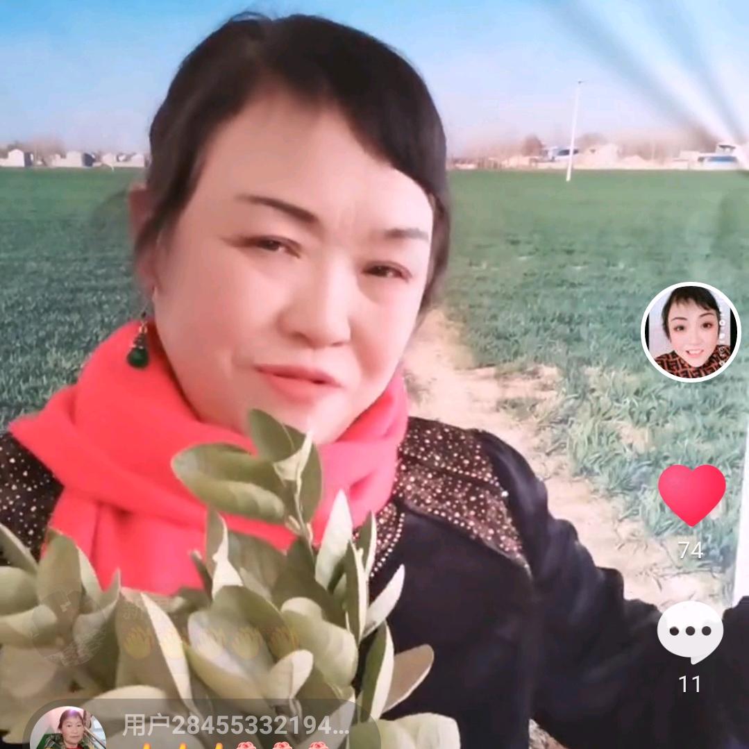 森林姐