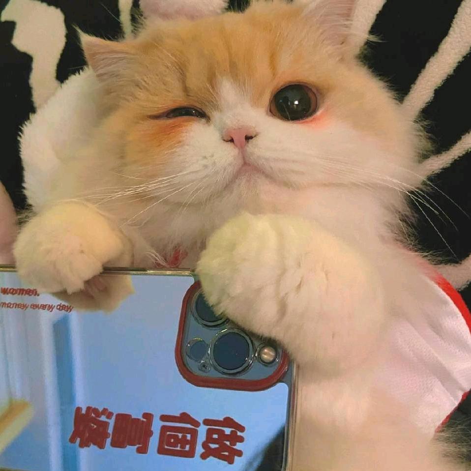 水（让我暴富）