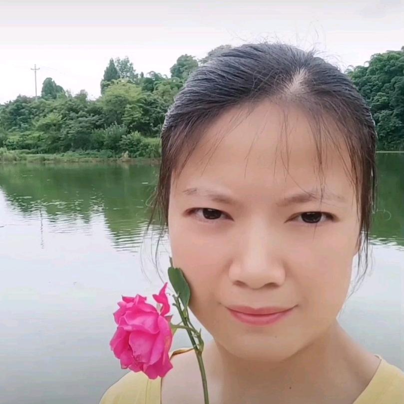 杨柳清风