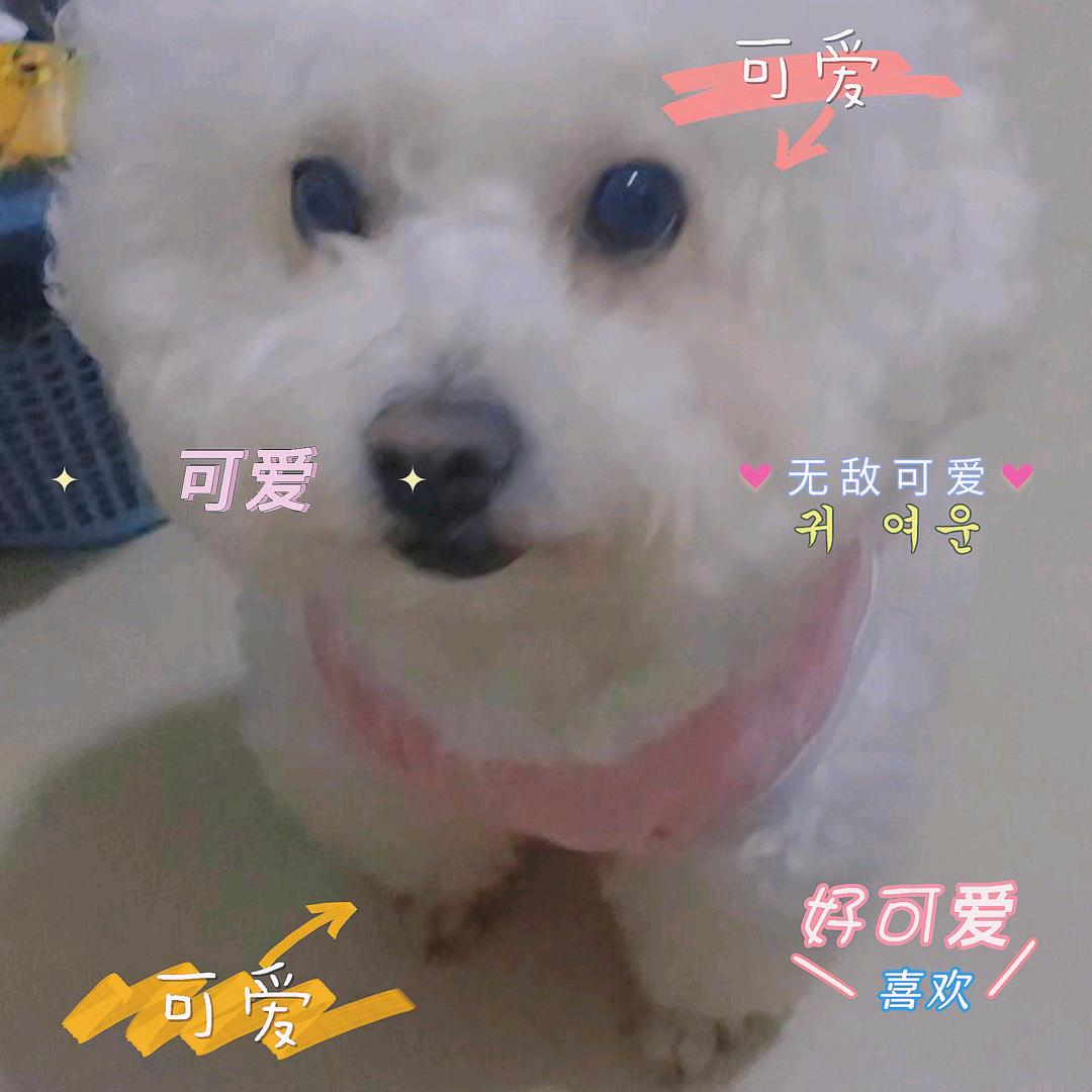蕊蕊严选好物