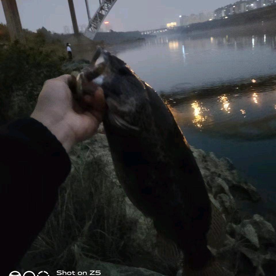 急流漂铅